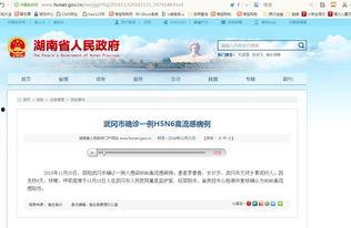 武冈新闻爆料最新消息,重大事件引发社会关注  第2张